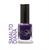 Smalto 10 ml lacca Diana