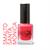 Smalto 10 ml lacca Santa Monica